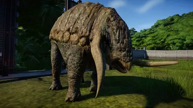 H  T  O  M  M  A  M     H  D    (New Species)