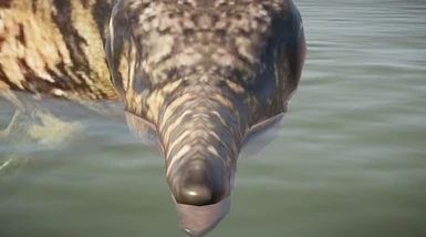 they dont callem ophthalmosaurus for nothing