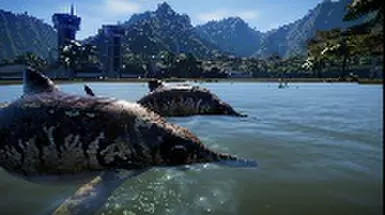 A Couple of Ophtalmosaurus