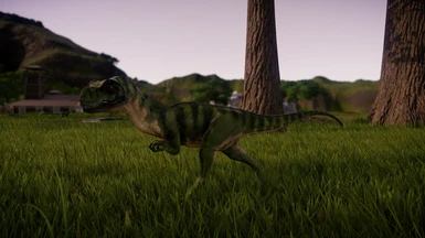 Infant Tyrannosaurus (Cosmetic Variant)
