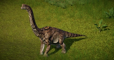 Europasaurus (New Species)