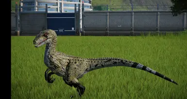 WWD Utah Raptor Skin for Velociraptor