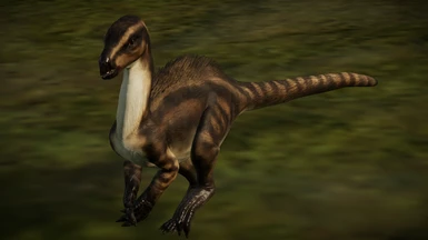 Heterodontosaurus (New Species)