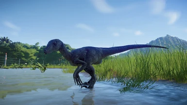 Velociraptor Paleontological edits