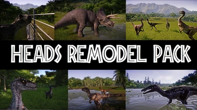 Heads Remodel Pack
