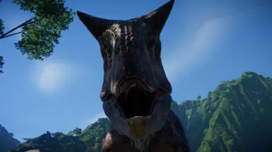 What the dog doin'