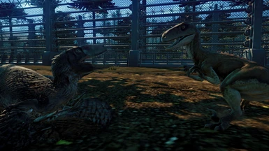 Atrociraptor Fighting feathered Deinonychus
