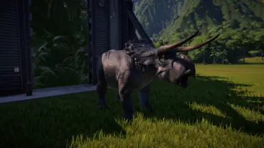 Male Nasutoceratops Variant D