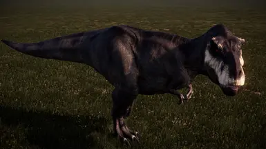 Vers.1.0 Null cosmetic gene