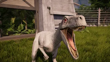 Albino Herrerasaurus