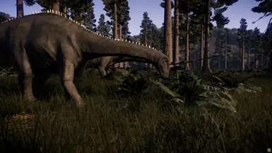 Juvenile Diplodocus