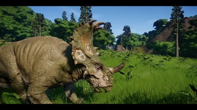 Superior Sinoceratops
