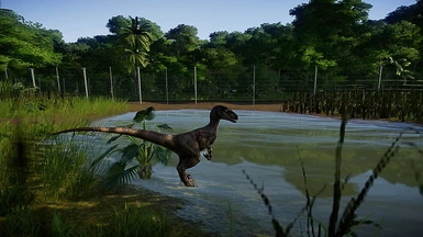 Velociraptor Paddock