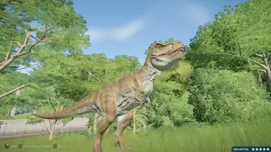 Our own Tyrannosaurus Rex. 
