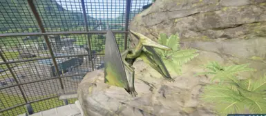 A Pteranodon in our famous Aviary 