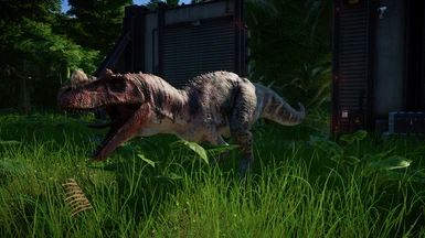 Paleontological Ceratosaurus nasicornis