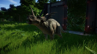 Paleontological Styracosaurus albertensis