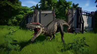 JPOG Carcharodontosaurus