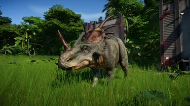 JPOG Styracosaurus
