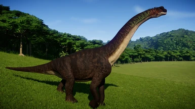 Cedarosaurus (New Species)