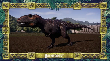 Updated Rainforest Variant