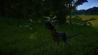 Dilophosaurus wandering