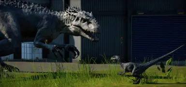 Blue vs Indominus Rex