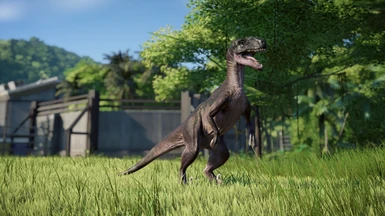 Updated - Utahraptor ostrommaysi