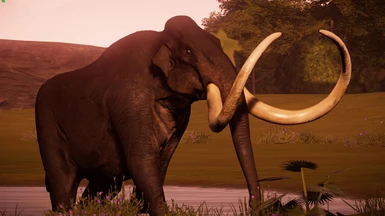 Colombian Mammoth
