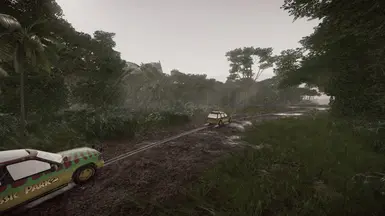 Rainy Tour