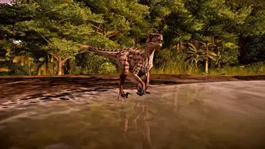 Utah Raptor