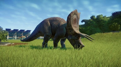 Torosaurus Paleontological edits