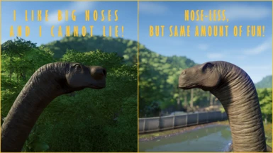 Nose-less vs. Nose-full