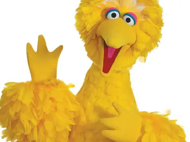 Big Bird