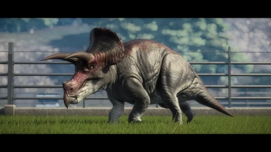 Triceratops.horridus
