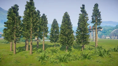redwood replacement pack, 2 in 1 file