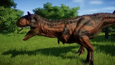Steppe