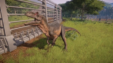 Allosaurus Paleontological edits