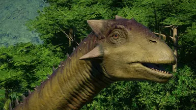 Subjective Ankylodocus Changes