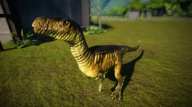 Afrovenator