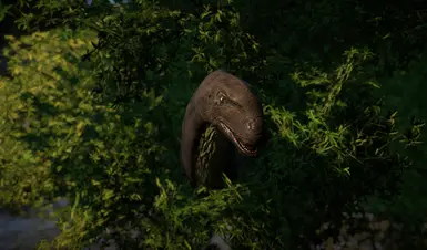 Peekaboo!