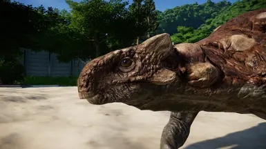 Head details and new neck osteoderms.
