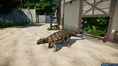 Null Skin