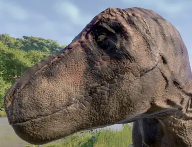 ANMH Styled Tyrannosaurus
