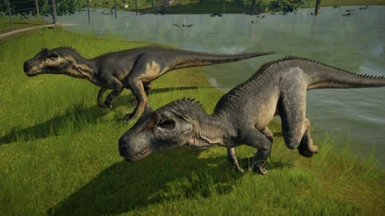 Allosaurus male and Allosaurus female