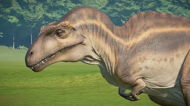 Improved Acrocanthosaurus