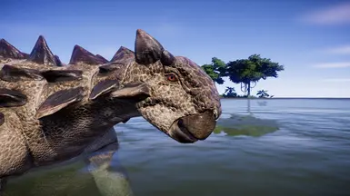 Head details