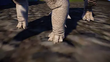Feetsies, as always 