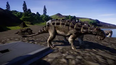 Steppe Skin