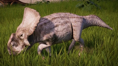 Protoceratops 2.0